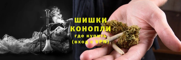 спиды Верея