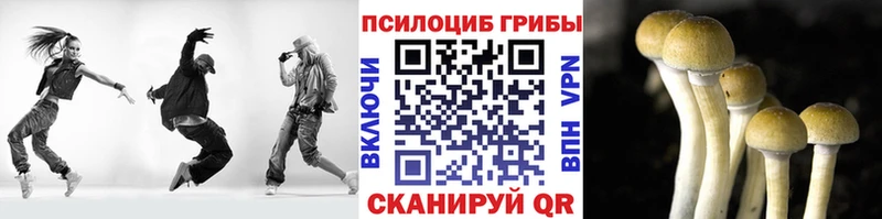 Псилоцибиновые грибы прущие грибы  Нерехта 